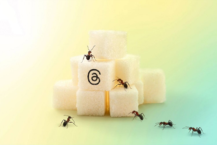 Threads'in keyfini çıkarırken gizlilik ve güvenlik sağlayın