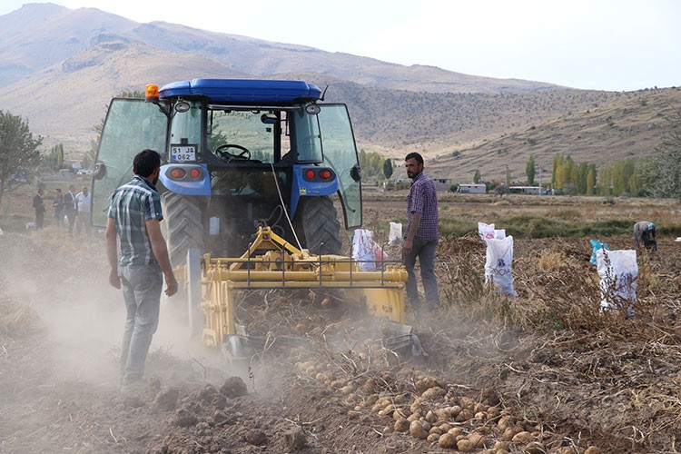 İki yeni patates geliyor