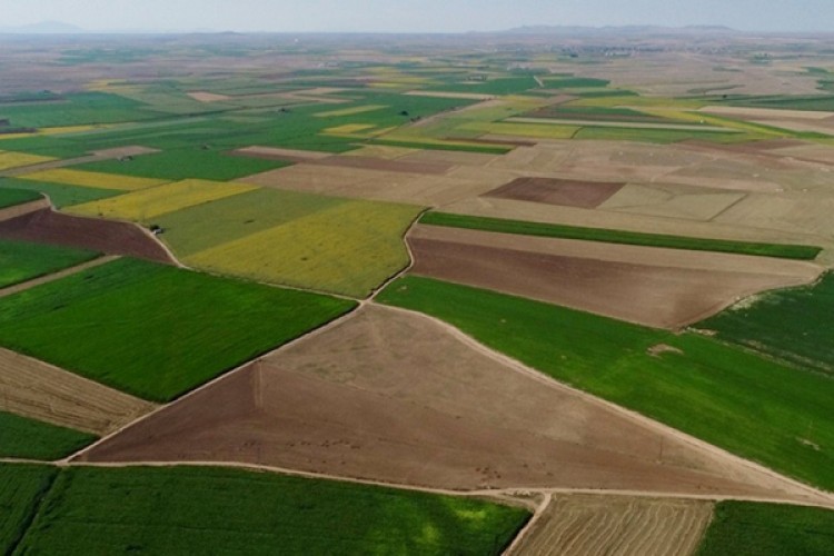 Hazine arazileriyle tarımsal üretim ve kentsel dönüşüme katkı sağlanacak