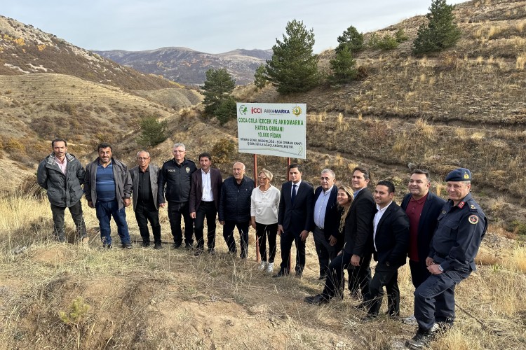 10 bin fidan karbon salınımını sıfırlayacak