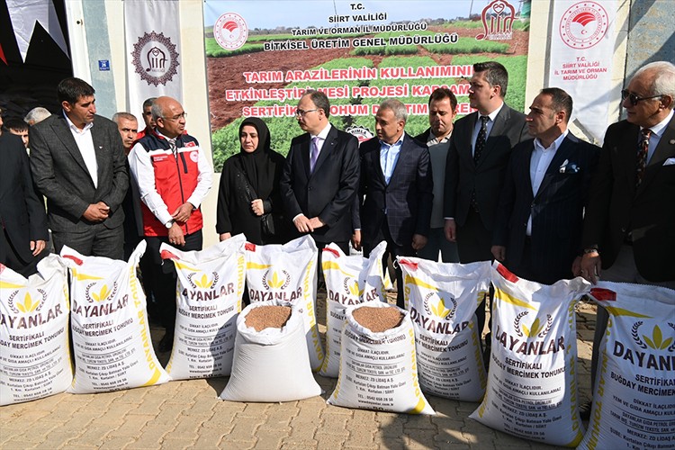 588 üreticiye kırmızı mercimek tohumu dağıtıldı