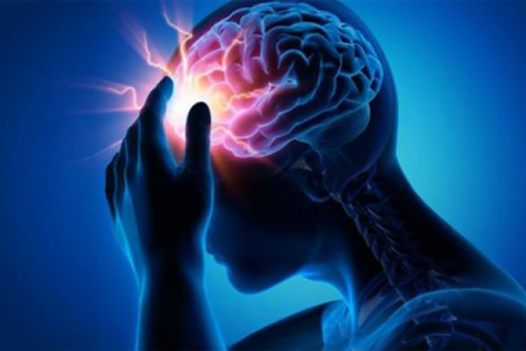 Beyin sırlarını keşfetmeye davet