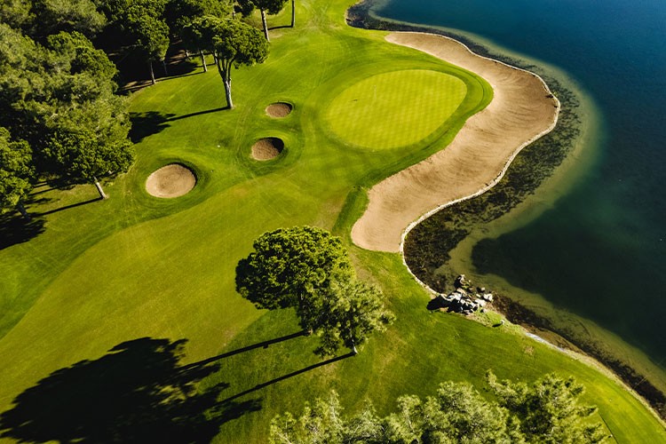 Championship 2024 başlıyor!