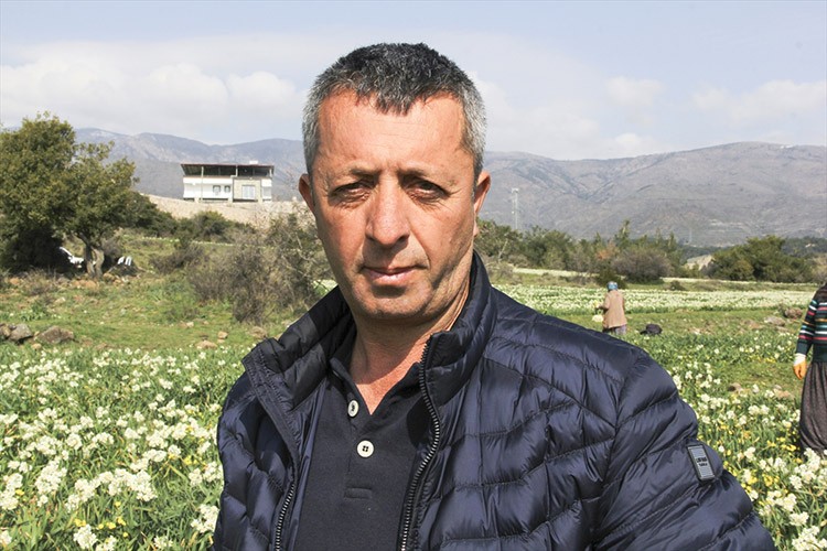 Babaannesinden kalan nergis tohumlarını pazarlıyor