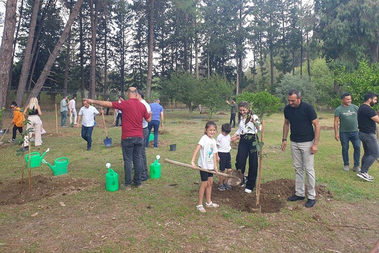 TEDAŞ çalışanları, 7 ilde fidan dikti