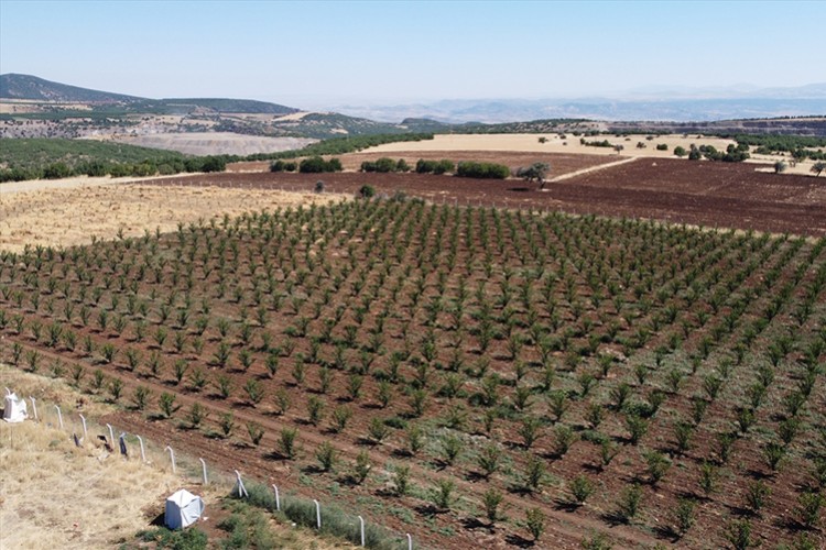 120 bin dekar arazi tarıma kazandırıldı