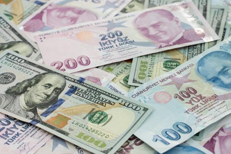 TL'nin değer kaybı kriz habercisi mi?..