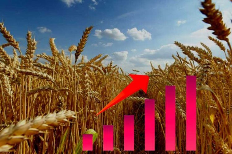 Tarım ÜFE aylık bazda yüzde 8,03 arttı