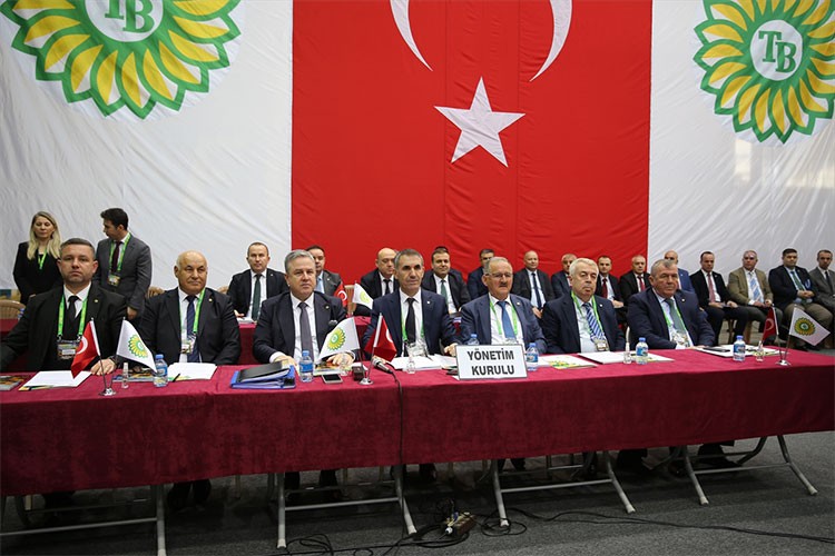 Kuraklık ve olumsuz hava şartları ayçiçeği üretimini olumsuz