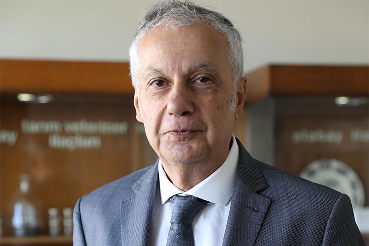 Grip hastalığına yönelik spesifik antiviral tedavi mevcut