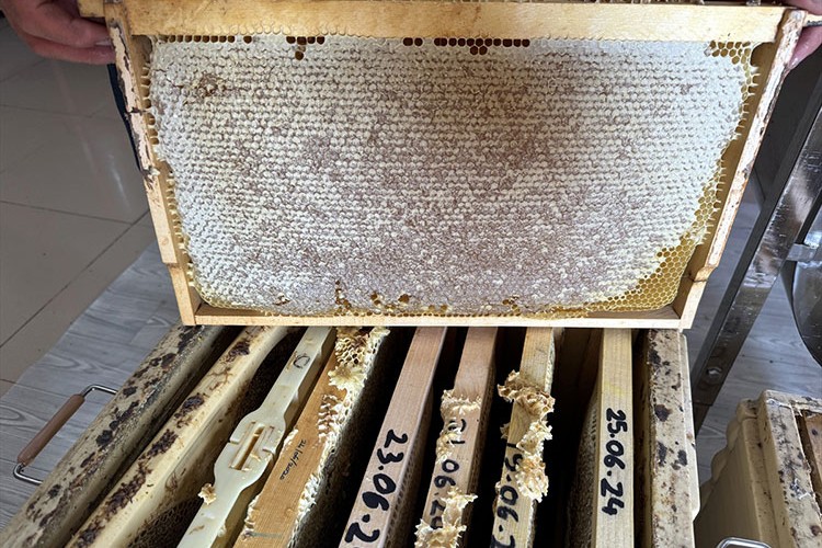 Ardahan balının sofralara yolculuğu başladı