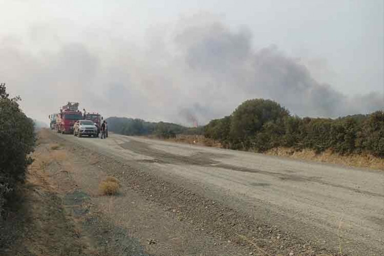 Eceabat'taki yangın kontrol altına alındı