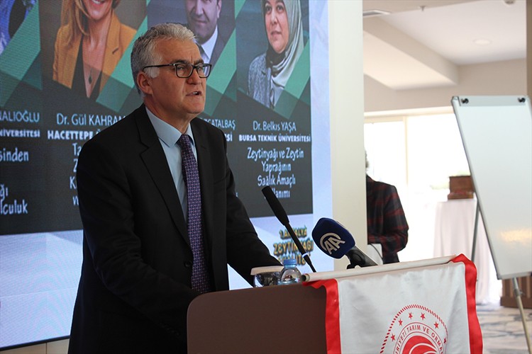 Zeytinyağında yeni dönem kalite odaklı