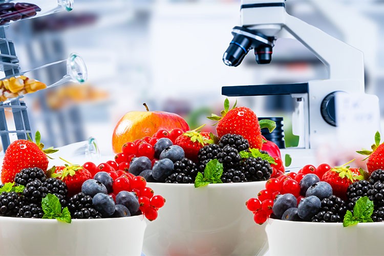 2025'te bitki bazlı besleneceğiz