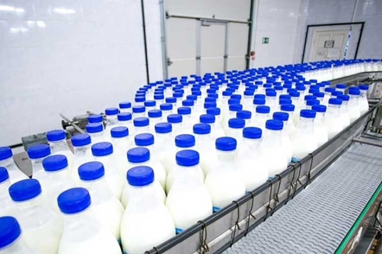 Süt endüstrisinin geleceği USKO 2023'te tartışılacak
