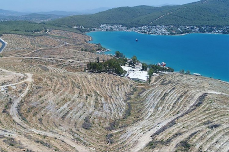 Orman yangınlarında rehabilitasyon tamamlandı