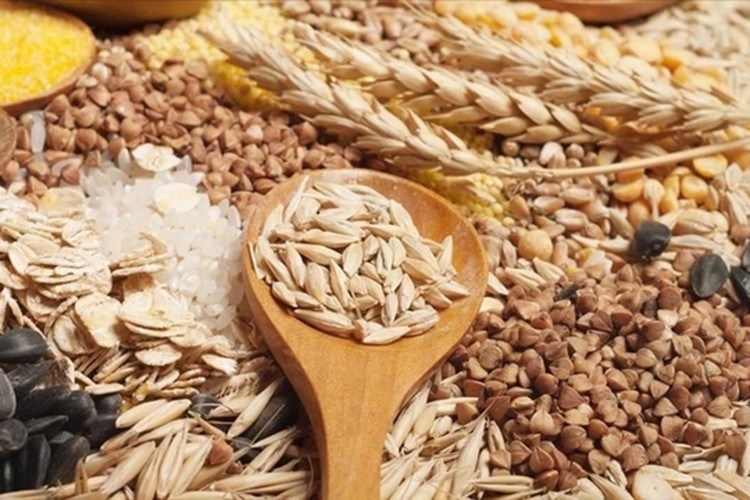 "Orta Doğu'daki çatışma gıda fiyatlarını artıracak"