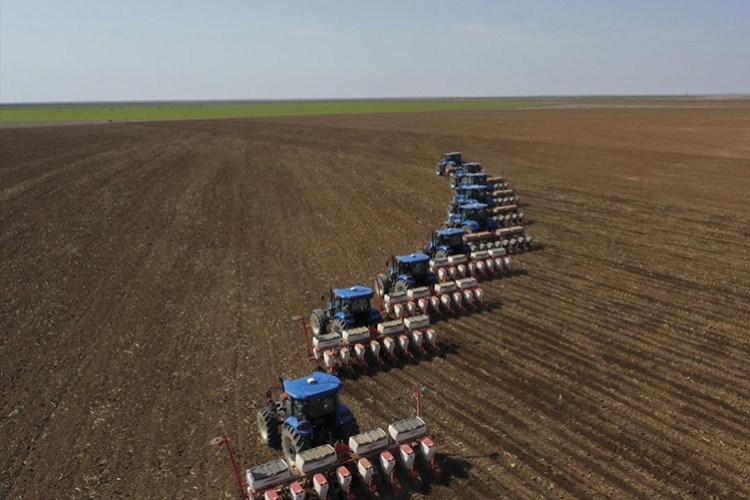 TİGEM işletmeleri hububat hasadında rekor kırdı