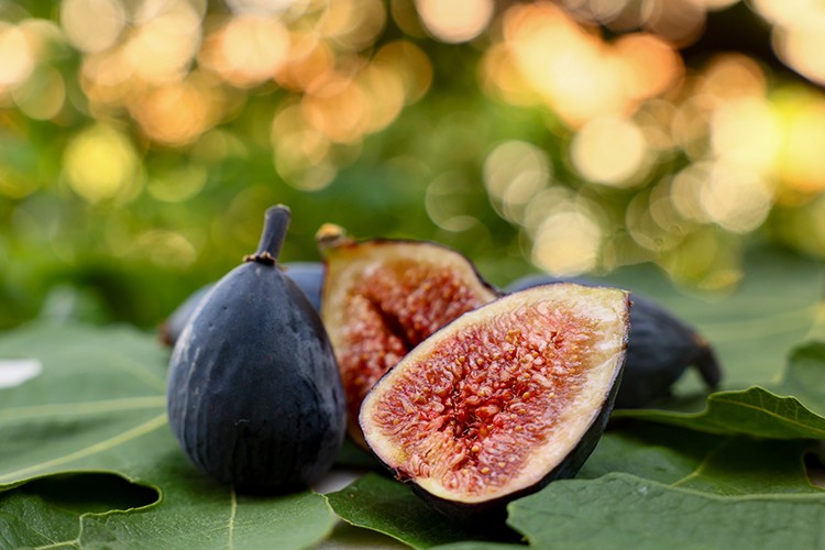 Siyah orak belgesele konu oldu