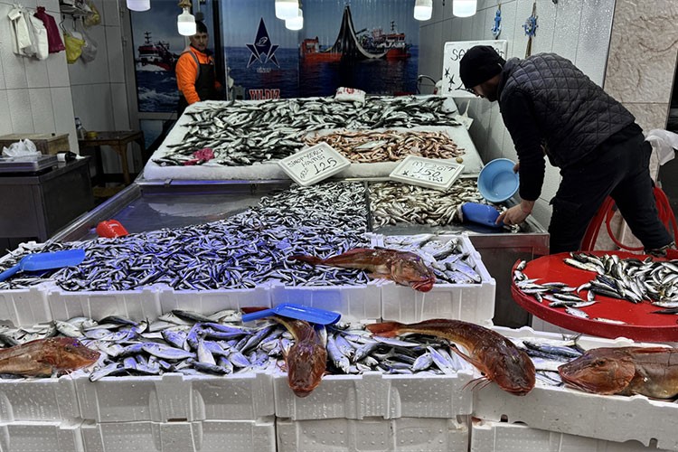 Sinop'ta kırlangıç balığının bolluğu balıkçıları sevindiriyor