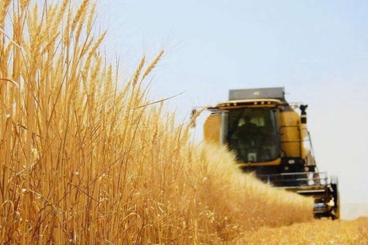 Tarım-ÜFE yıllık yüzde 52 arttı