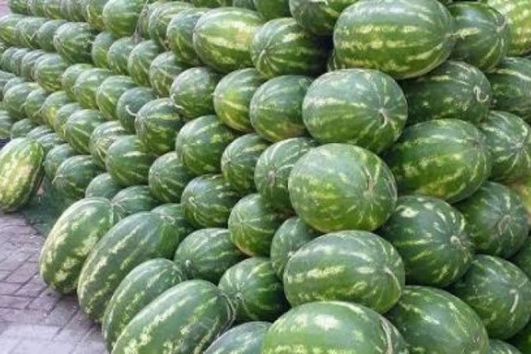 En fazla karpuzun fiyatı düştü