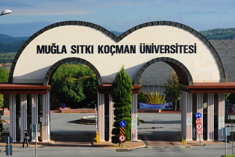 Öğretim üyesi alınacak