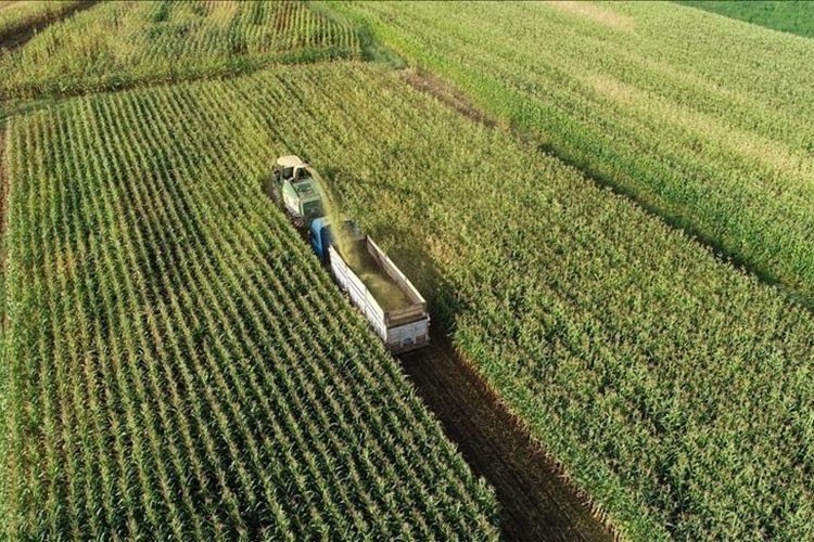 81 ilde tarım sayımı başladı