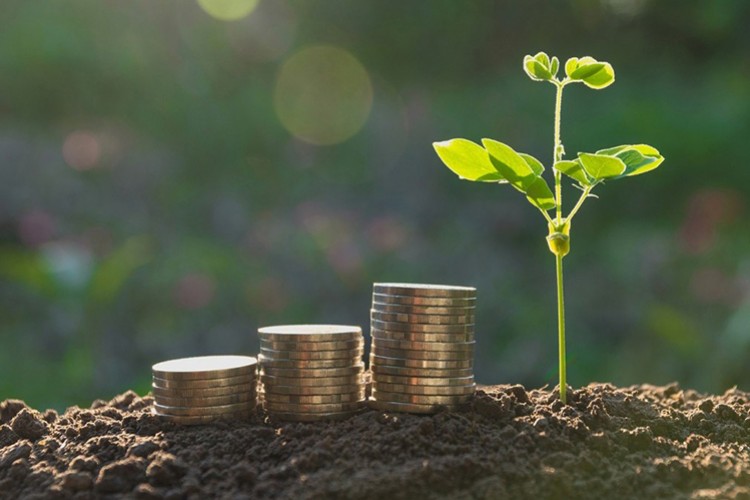 Yeşil yatırım çağrısı