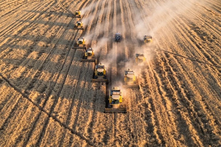 Tarım sektöründen ihracat rekoru