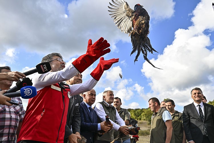 "1 milyonun üzerinde keklik ve sülün salımı gerçekleşti"