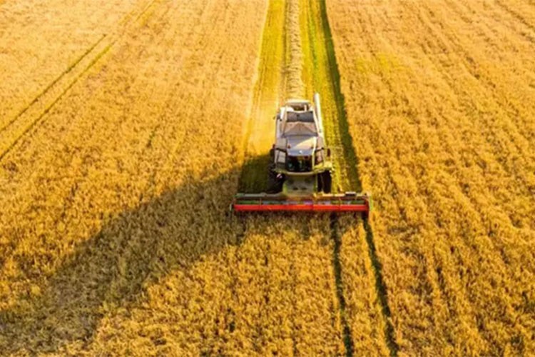 Tarımda yeni planlı üretim dönemi başladı