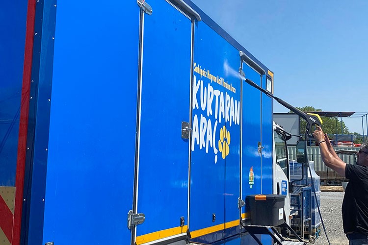 Yangınlardan etkilenen "can dostlar