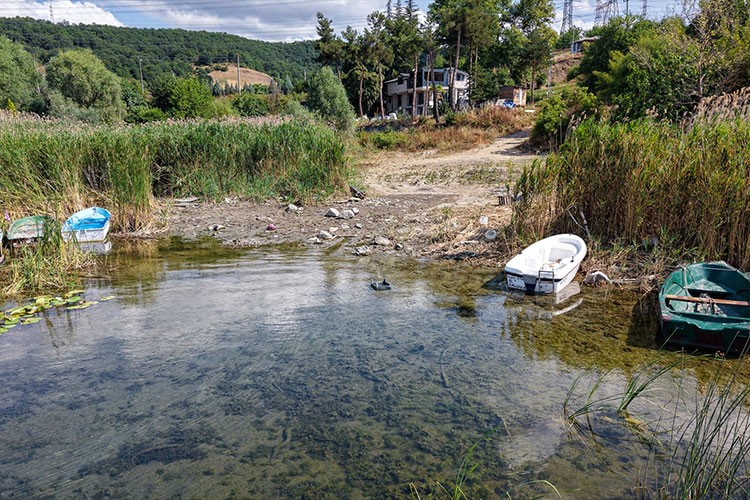Sapanca Gölü'nde 60 milyon metreküp su kaybı yaşandı