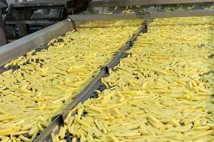 İşlenen patatesin kabuklarından elektrik üretiyorlar