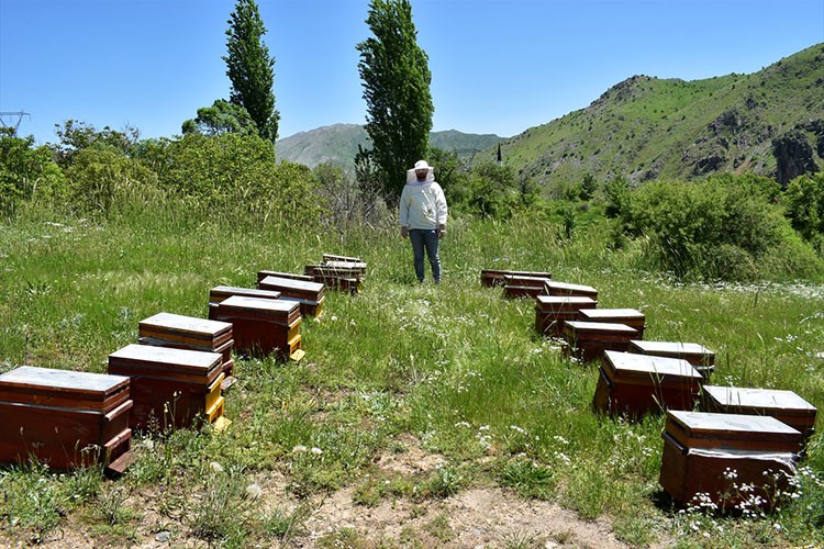 Bitlis balı, Paris'te ikinci kez "Altın Bal" ödülü aldı