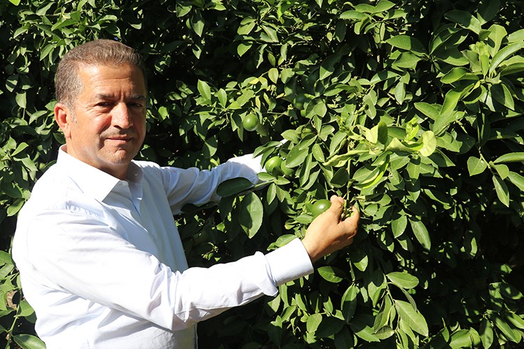 Erken hasat uyarısı