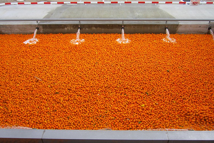 DİMES 2025 Hedeflerini Açıkladı