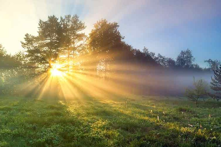 Yüzde 70 enerji verimliliği mümkün