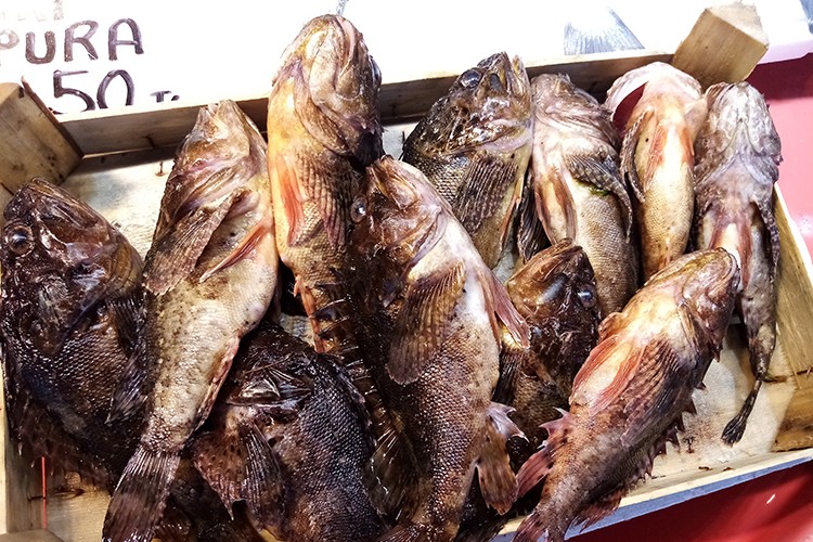 'Çirkin Kral' kilosu 60 liradan satıldı