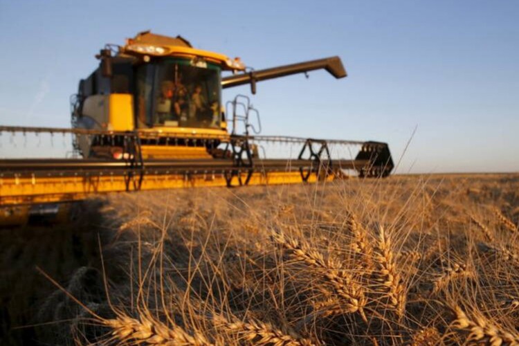 Hollanda'nın tarım ürünleri ihracatı135 milyar avroyu geçti