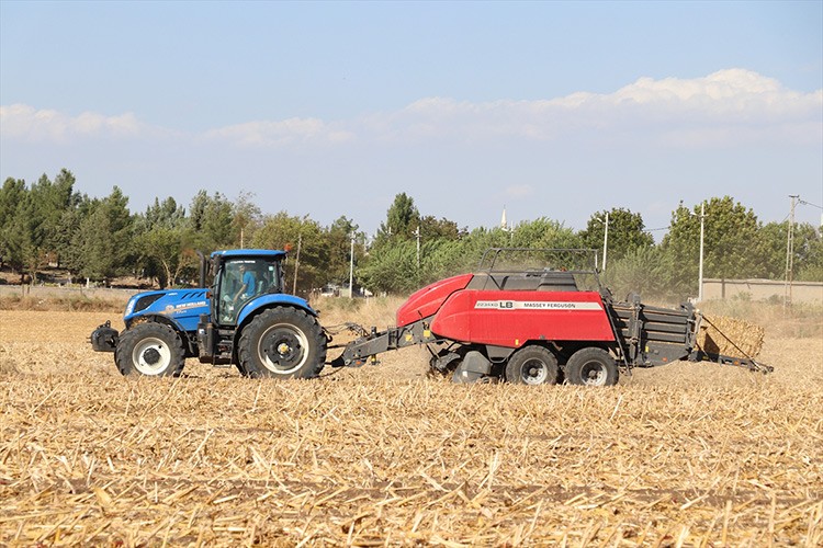 Mısır anızı biyoyakıt ham maddesi oluyor