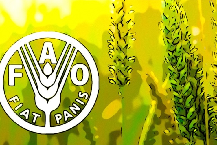 Gıda fiyatlarında son 18 ayın en hızlı artışı