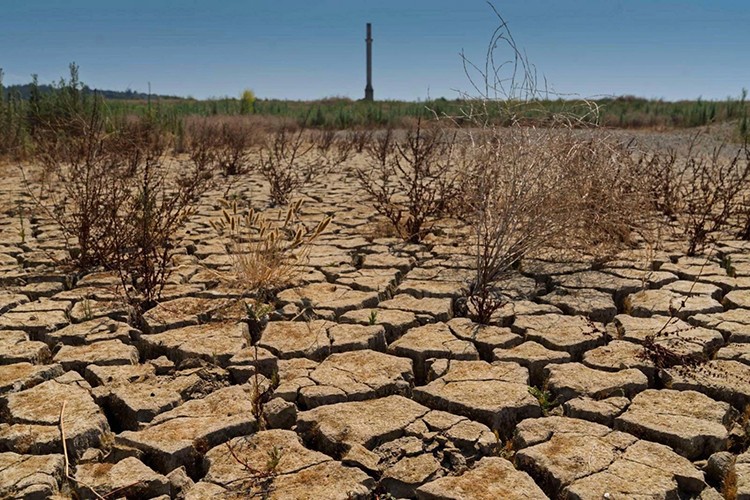 Kuraklık riskine karşı önlemlerde verimlilik ve sürdürülebilirlik ön planda