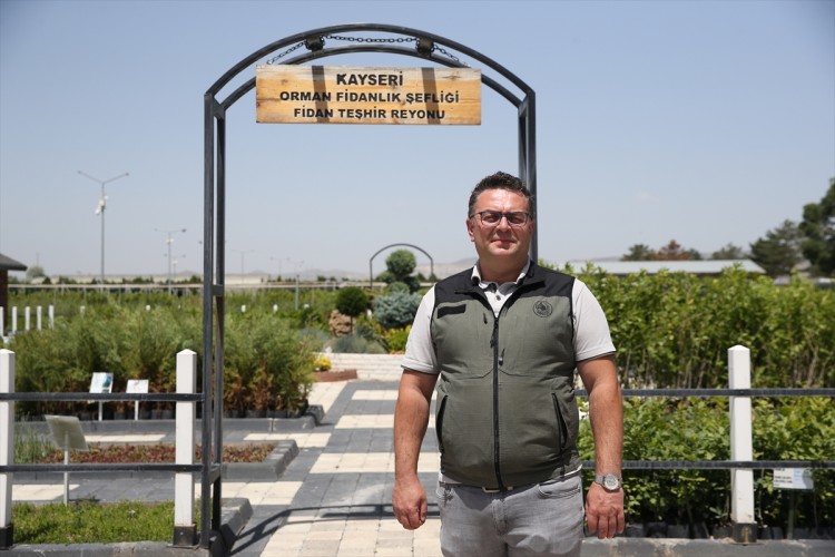 Milyonlarca fidanla 5 ilde doğayı yeşertiyor