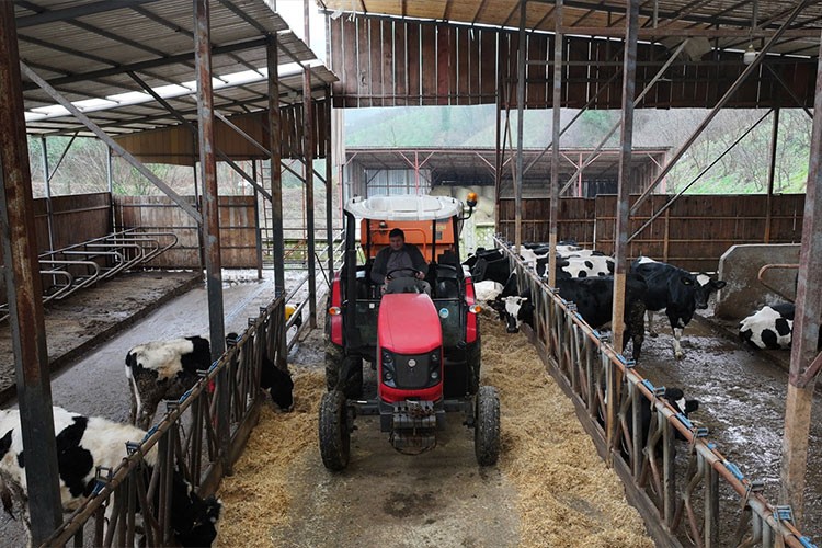 Bir inekle başladılar hayvan çiftliği kurdular