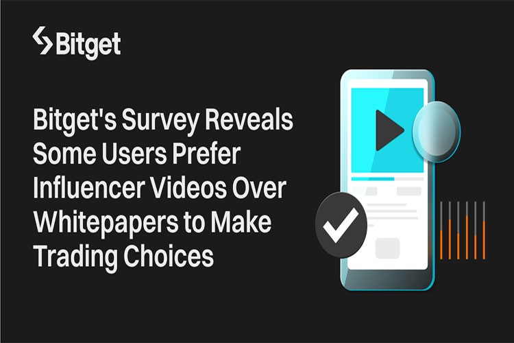 Kullanıcılar Whitepaper yerine Influencer içeriklerini tercih ediyor