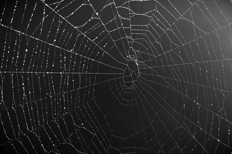 Kurumsal cihazları hedef alan zararlı yazılımların %53'ü veri çalıyor!