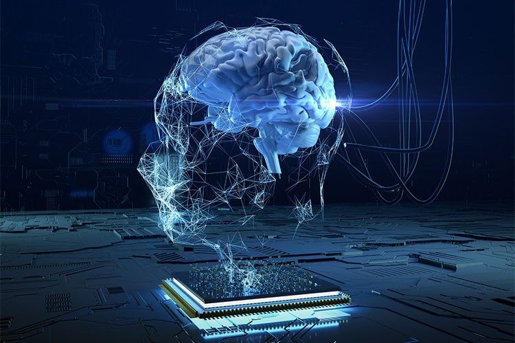 İşletmelerin Yüzde 92'si Kimlik Dolandırıcılığına Maruz Kaldı