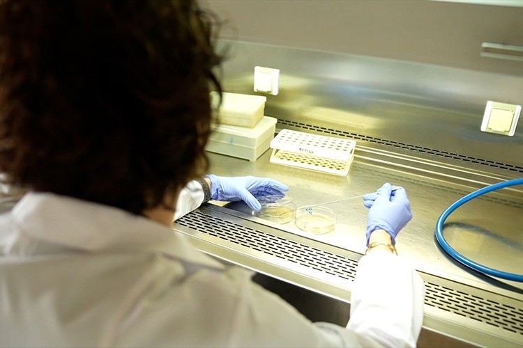 Yiyeceklerin raf ömrünü uzatan gıda teknolojisi geliştiriliyor